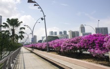 Singapore