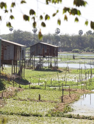 Cambodia