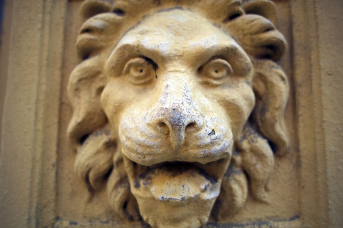 Lion in Ceske budejovice