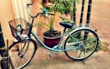 bikes