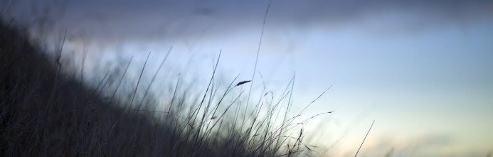 Grass