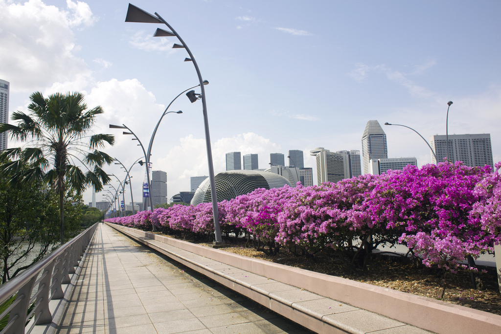 Singapore – City Guide