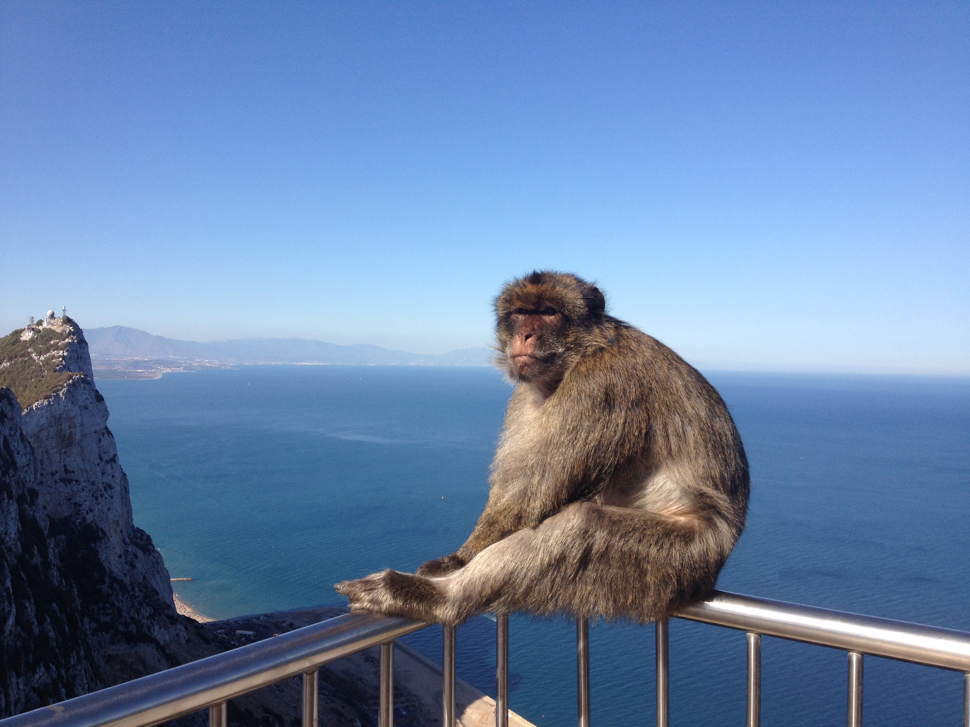 Gibraltar Rocks