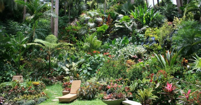 Hunte's Garden