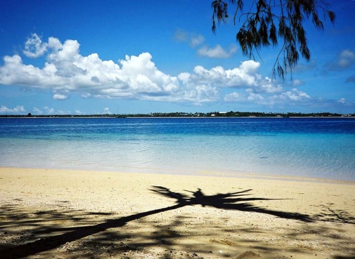 New Zealand Beach