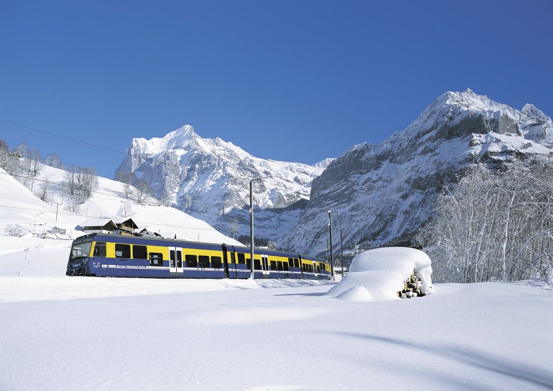 Don’t Go Off the Rails: The Benefits of Train Holidays