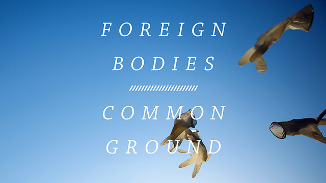 Foreign Bodies, Common Ground Exhibition in Regents Park 2014