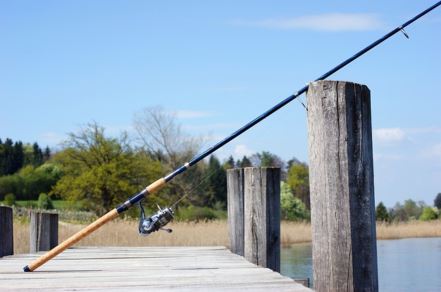 fishing-rod-326843_640