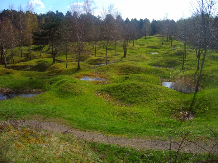 Battelfield_Verdun