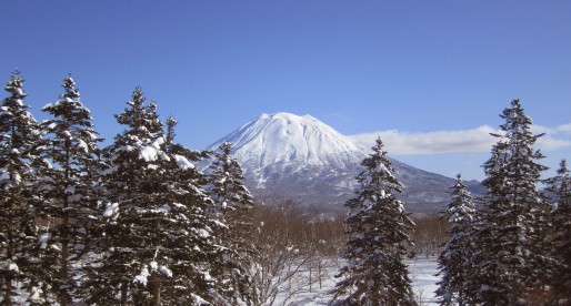 Why Your Next Trip Should be to Niseko