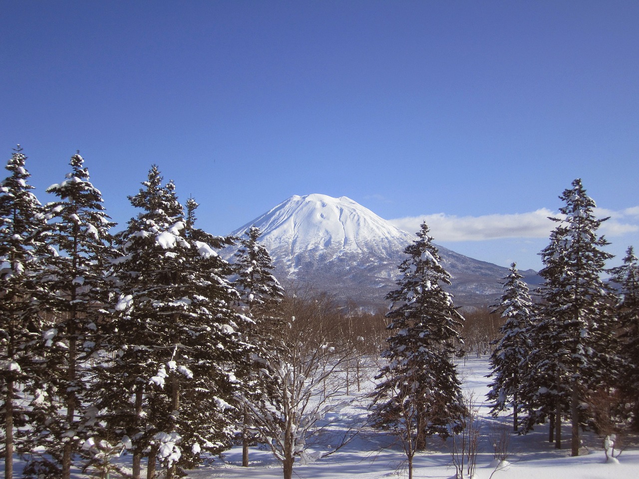 Why Your Next Trip Should be to Niseko