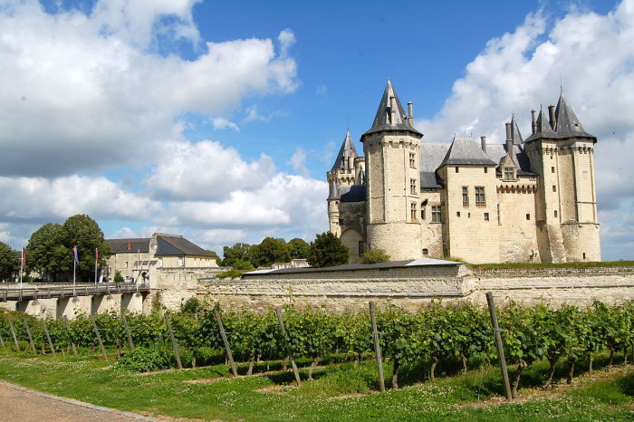 1200px-Vignes_du_château_de_Chinon