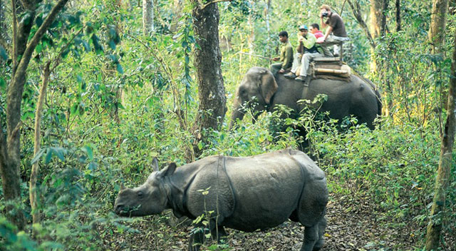 Chitwan_Elephant_ride_with_friends