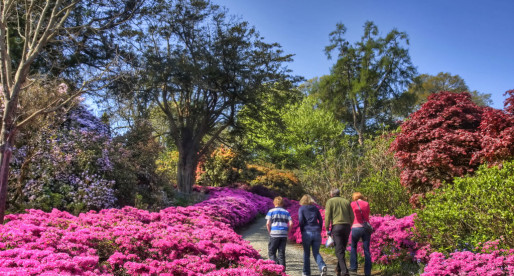 The Top 5 Visitor Attractions of Ireland’s Oldest City, Waterford