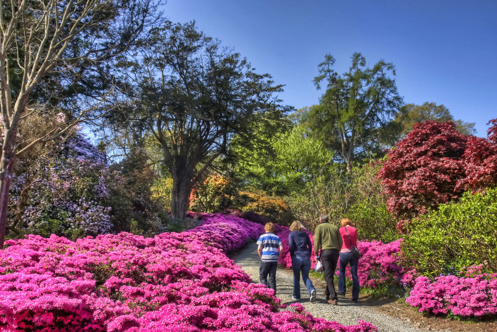 The Top 5 Visitor Attractions of Ireland’s Oldest City, Waterford