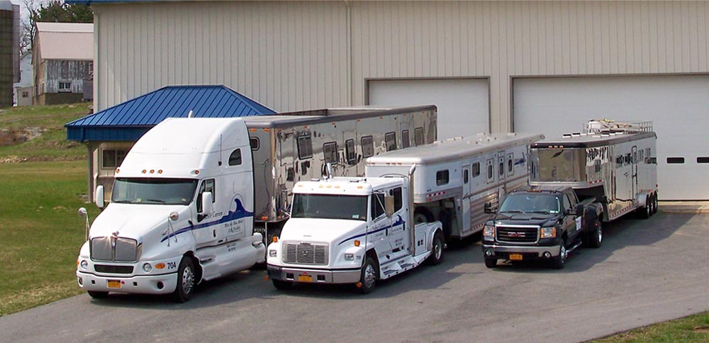 How to Choose the Best Horse Trailer – Selection Guide of Horse Trailer Post