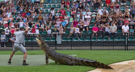 The Top Reasons Queensland Is The Best State In Aus