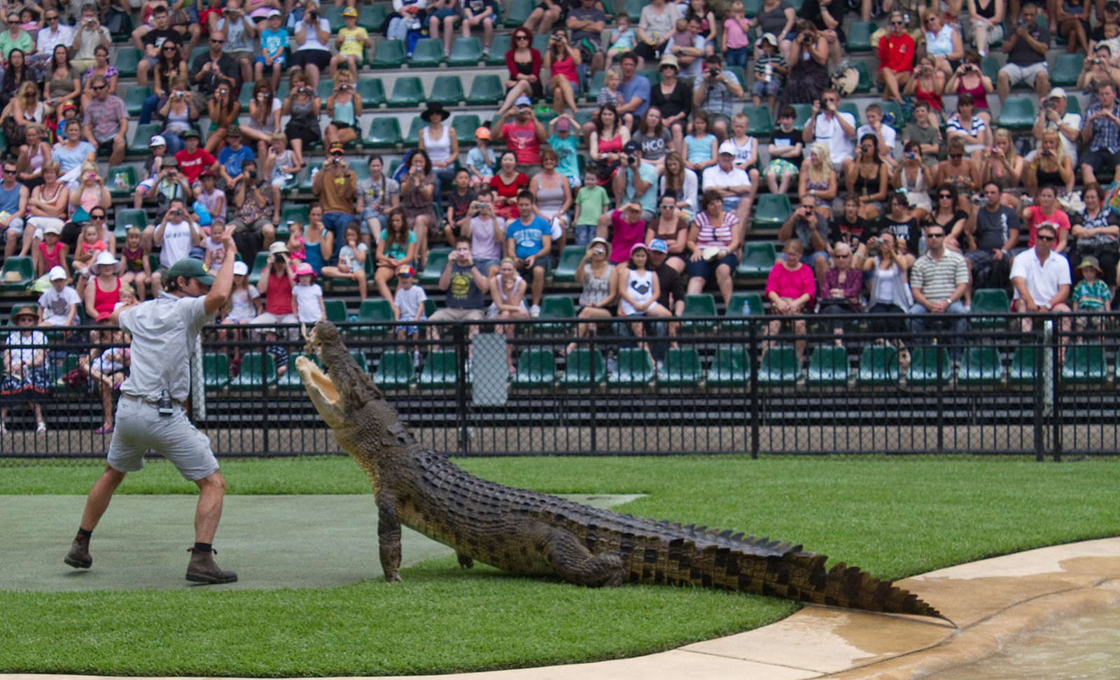 The Top Reasons Queensland Is The Best State In Aus