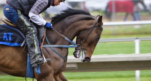 Grand National Goers. Get Ready for 2018!