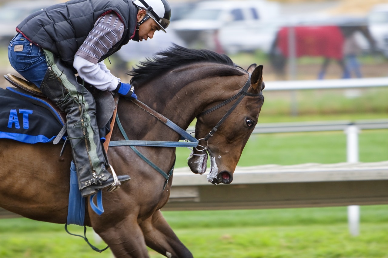 Grand National Goers. Get Ready for 2018!