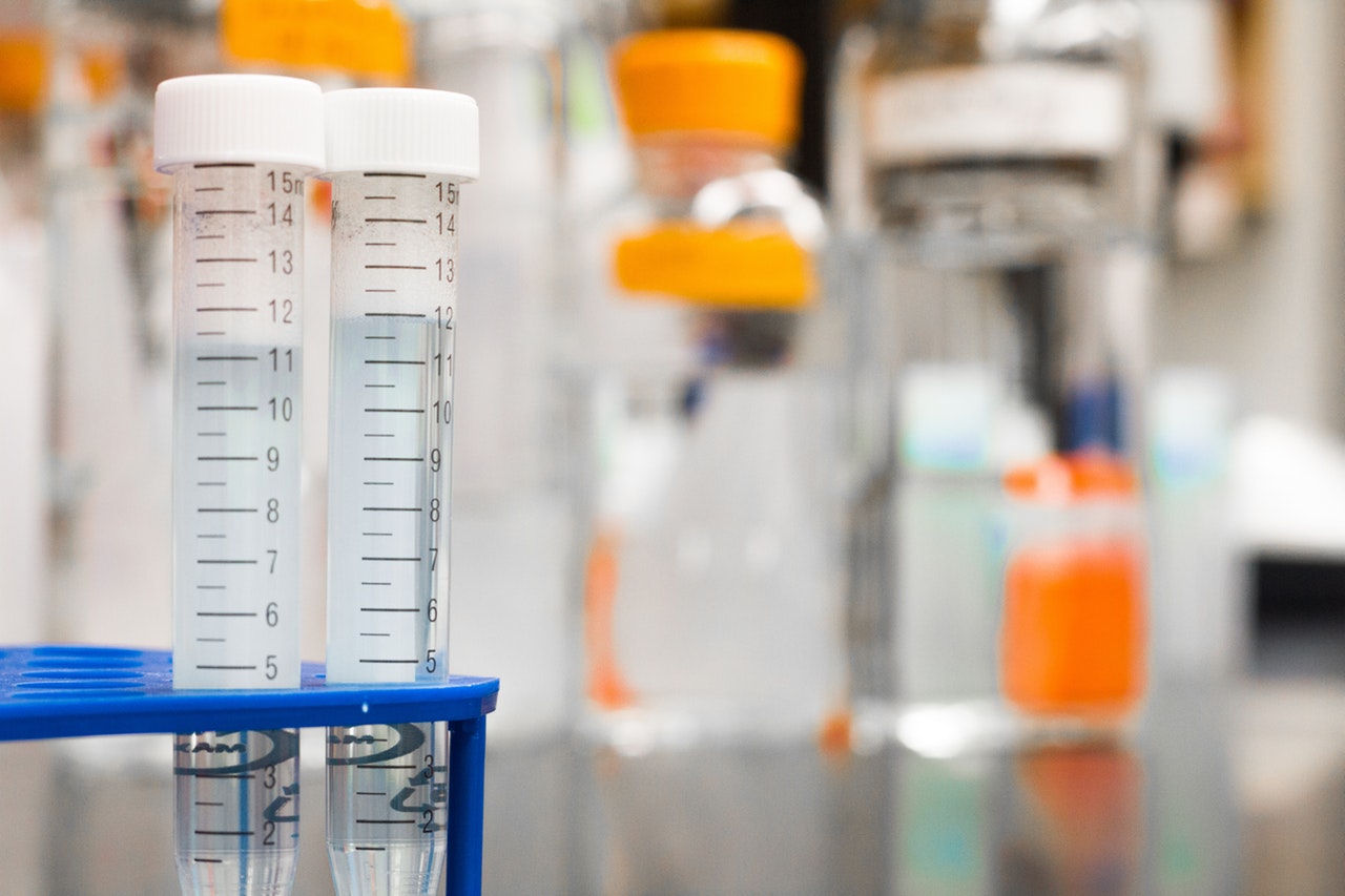 biology-blur-blurred-background-954585