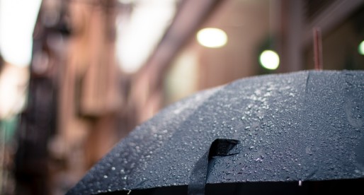 The Top Seven Rainiest Places on Earth