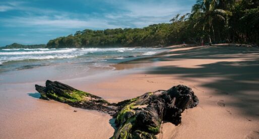January Weather in Costa Rica: What to Expect