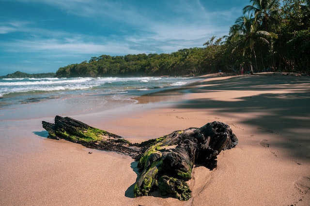 January Weather in Costa Rica: What to Expect