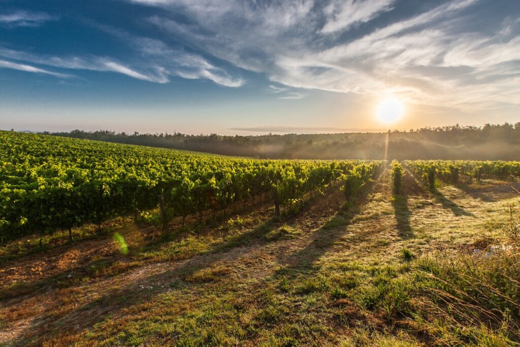 italian countryside