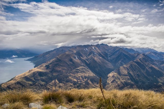 new zealand cities