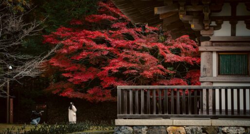 Whispers of the East: An Immersive Journey into Japan’s Enchanting Zen Gardens