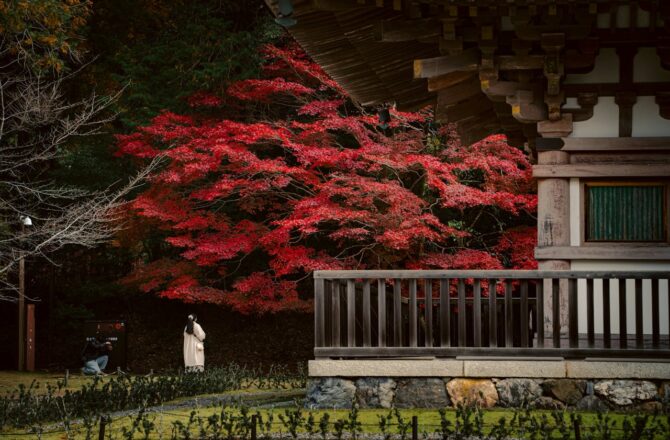Whispers of the East: An Immersive Journey into Japan’s Enchanting Zen Gardens