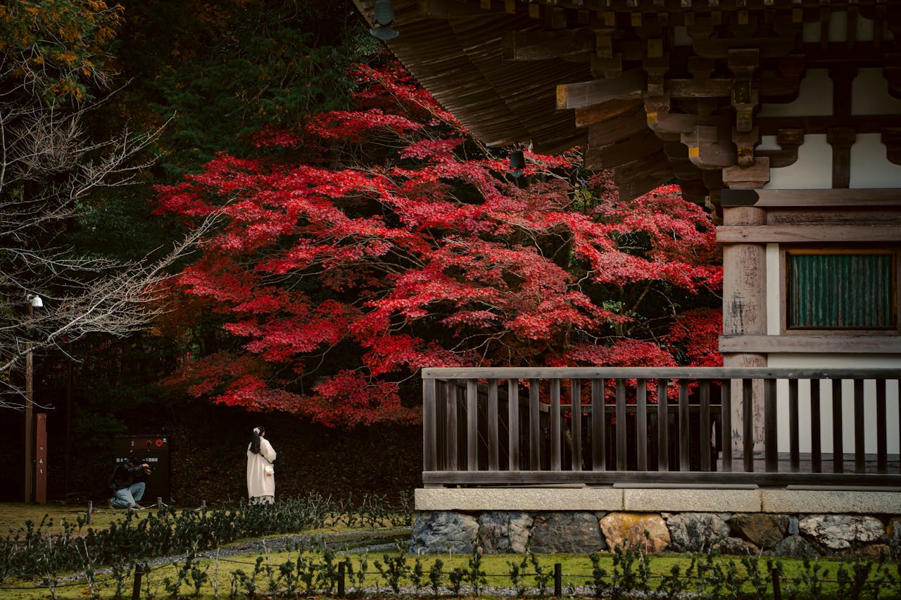 Whispers of the East: An Immersive Journey into Japan’s Enchanting Zen Gardens