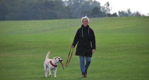 The Best Towns to Take Your Dog on Holiday