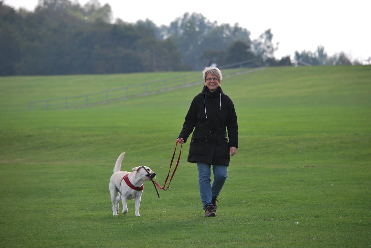 The Best Towns to Take Your Dog on Holiday