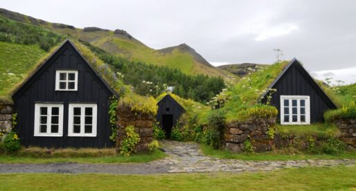 The Rise of Green Roofing: A Sustainable Future for Urban Spaces