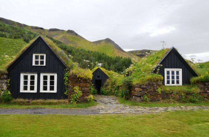 The Rise of Green Roofing: A Sustainable Future for Urban Spaces
