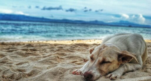 Five unknown beach spots in the PH!