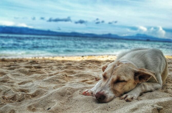 Five unknown beach spots in the PH!