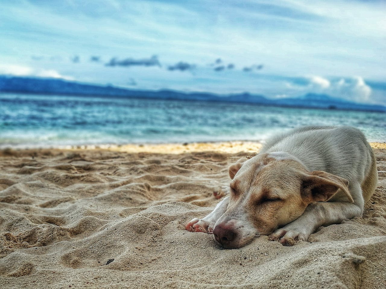 Five unknown beach spots in the PH!